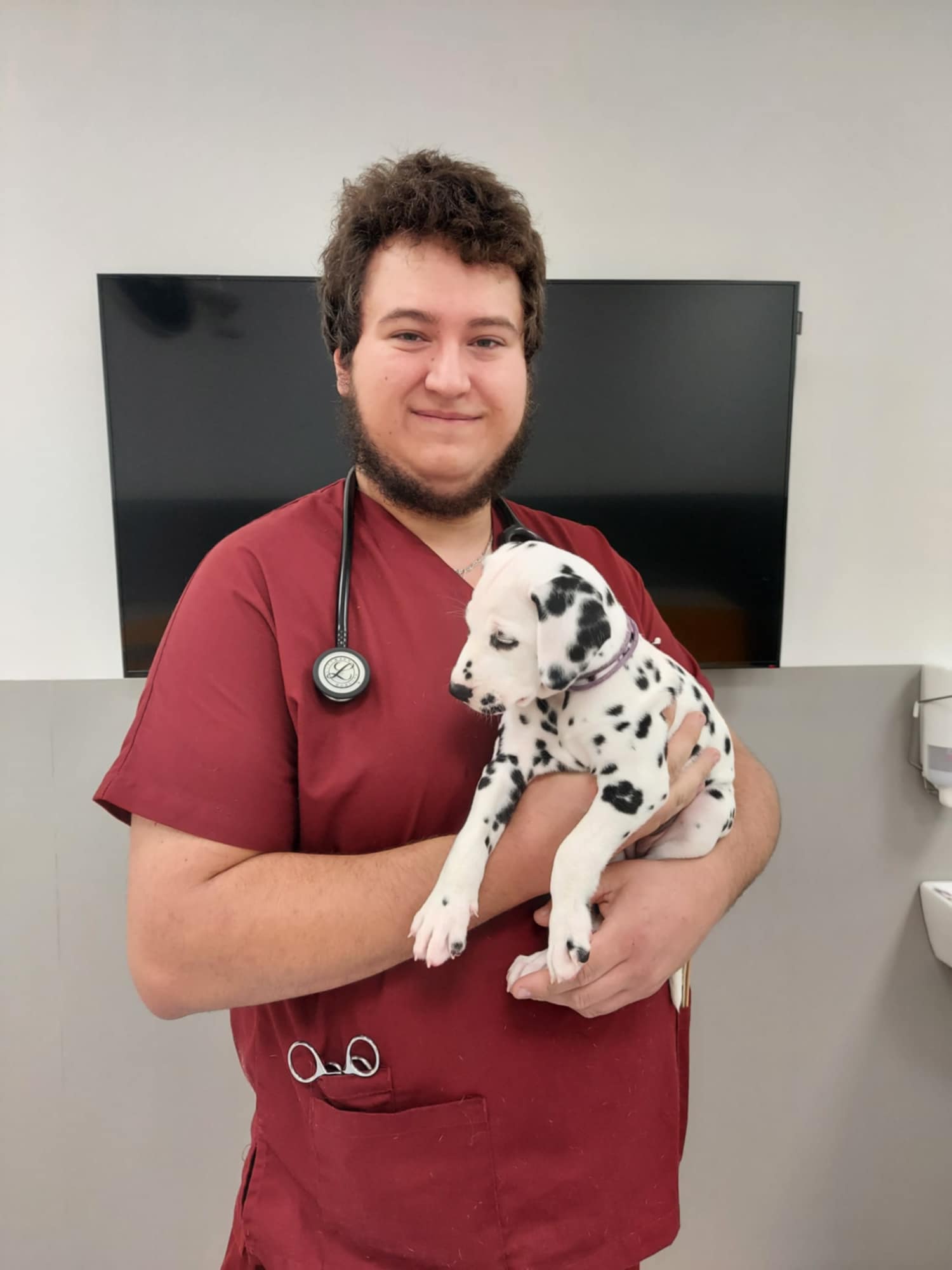 Photo du Dr. Alexandre Matagne : Vétérinaire à domicile