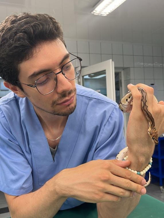 Photo du Dr. Amine Bentarzi : Vétérinaire à domicile